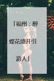 福州：醉蝶花盛开引游人