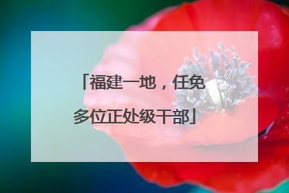 福建一地，任免多位正处级干部