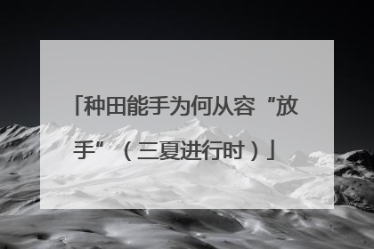 种田能手为何从容“放手”（三夏进行时）