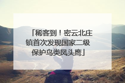稀客到！密云北庄镇首次发现国家二级保护鸟类凤头鹰