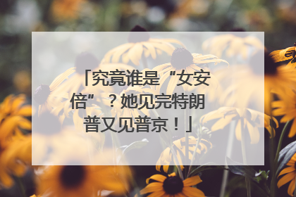 究竟谁是“女安倍”？她见完特朗普又见普京！