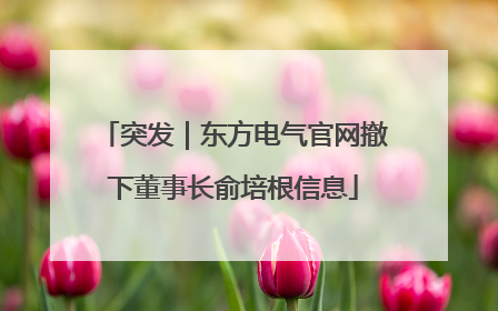突发｜东方电气官网撤下董事长俞培根信息