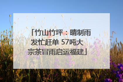 竹山竹坪：晴制雨发忙赶单 57吨大宗茶冒雨启运福建