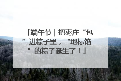 端午节｜把枣庄“包”进粽子里，“地标馅”的粽子诞生了！