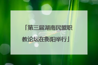 第三届湖南民盟职教论坛在衡阳举行