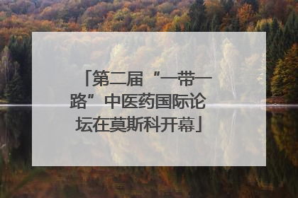 第二届“一带一路”中医药国际论坛在莫斯科开幕