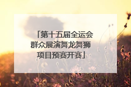 第十五届全运会群众展演舞龙舞狮项目预赛开赛