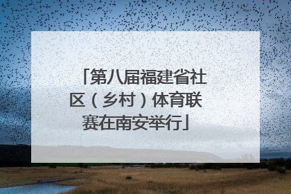 第八届福建省社区（乡村）体育联赛在南安举行