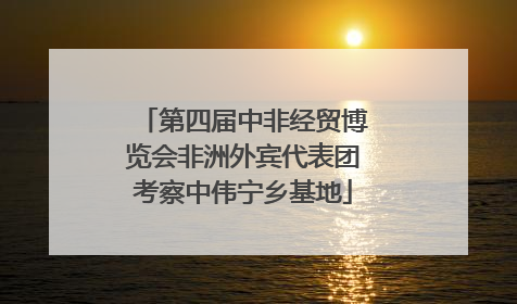 第四届中非经贸博览会非洲外宾代表团考察中伟宁乡基地