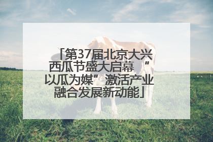 第37届北京大兴西瓜节盛大启幕 “以瓜为媒”激活产业融合发展新动能