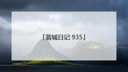 翁城日记 935