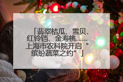 翡翠桔瓜、雪贝、红铃铛、金寿桃……上海市农科院开启“缤纷蔬菜之约”