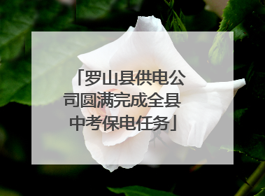 罗山县供电公司圆满完成全县中考保电任务