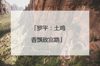 罗平：土鸡香飘致富路