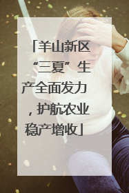 羊山新区“三夏”生产全面发力，护航农业稳产增收