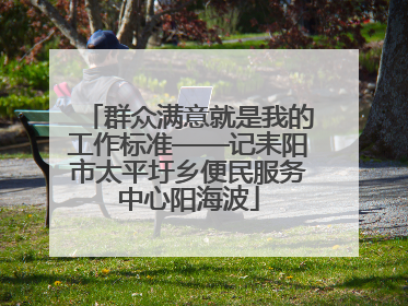 群众满意就是我的工作标准——记耒阳市太平圩乡便民服务中心阳海波