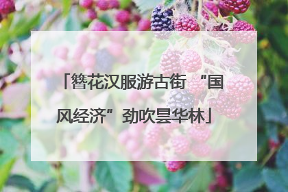 簪花汉服游古街 “国风经济”劲吹昙华林