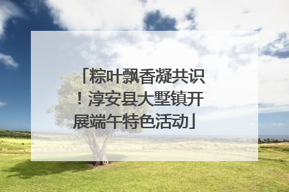 粽叶飘香凝共识！淳安县大墅镇开展端午特色活动