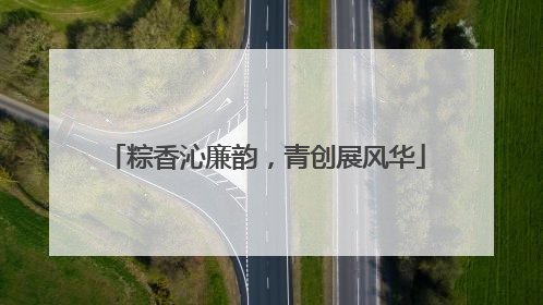粽香沁廉韵，青创展风华