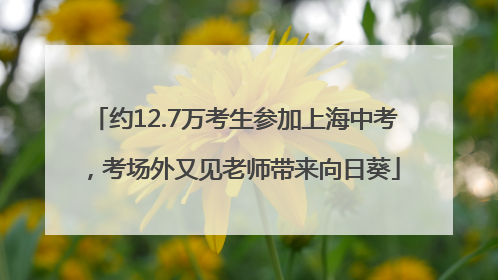 约12.7万考生参加上海中考，考场外又见老师带来向日葵