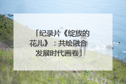 纪录片《绽放的花儿》：共绘融合发展时代画卷