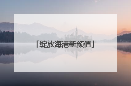 绽放海港新颜值