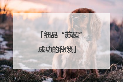 细品“苏超”成功的秘笈