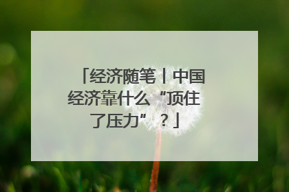 经济随笔丨中国经济靠什么“顶住了压力”？