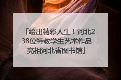 绘出精彩人生！河北238位特教学生艺术作品亮相河北省图书馆