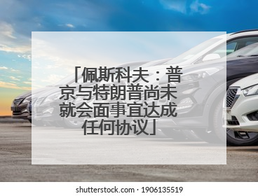 佩斯科夫：普京与特朗普尚未就会面事宜达成任何协议