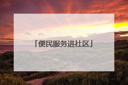 便民服务进社区