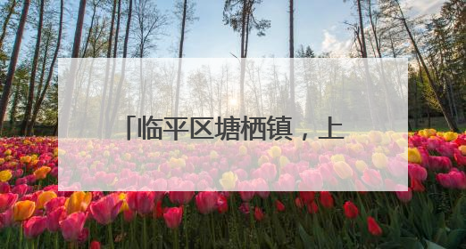 临平区塘栖镇，上榜省级中心镇！
