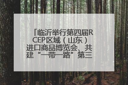 临沂举行第四届RCEP区域（山东）进口商品博览会、共建“一带一路”第三届临沂商城国际采购商大会新闻发布会