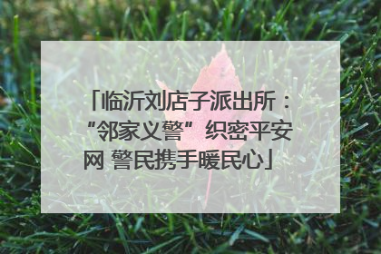 临沂刘店子派出所：“邻家义警”织密平安网 警民携手暖民心
