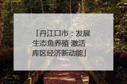 丹江口市：发展生态鱼养殖 激活库区经济新动能