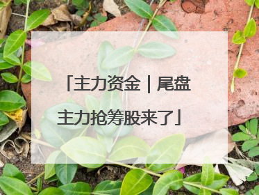 主力资金｜尾盘主力抢筹股来了