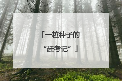 一粒种子的“赶考记”