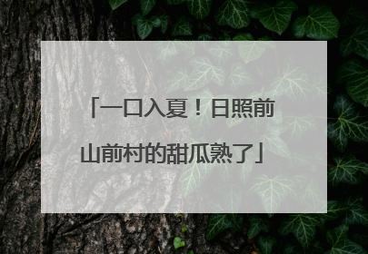一口入夏！日照前山前村的甜瓜熟了