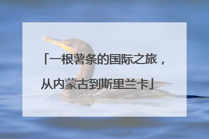 一根薯条的国际之旅，从内蒙古到斯里兰卡