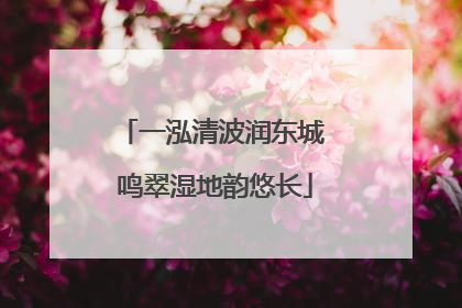 一泓清波润东城 鸣翠湿地韵悠长