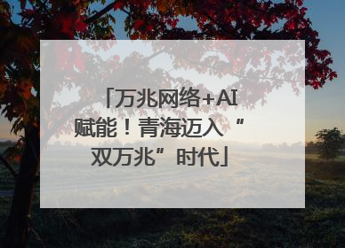 万兆网络+AI赋能！青海迈入“双万兆”时代