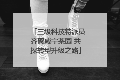 三级科技特派员齐聚咸宁茶园 共探转型升级之路