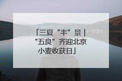 三夏“丰”景｜“五良”齐迎北京小麦收获日
