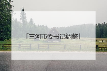 三河市委书记调整