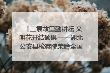 三袁故里勤耕耘 文明花开结硕果——湖北公安县检察院荣膺全国文明单位称号