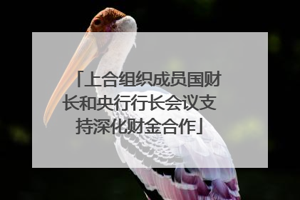 上合组织成员国财长和央行行长会议支持深化财金合作
