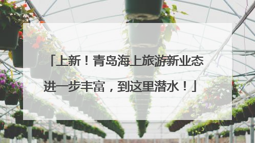 上新！青岛海上旅游新业态进一步丰富，到这里潜水！
