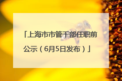上海市市管干部任职前公示（6月5日发布）