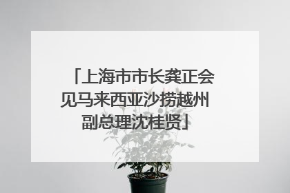 上海市市长龚正会见马来西亚沙捞越州副总理沈桂贤