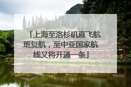 上海至洛杉矶直飞航班复航，至中亚国家航线又将开通一条